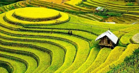 13 thứ trong nhà có thể gây mụn trứng cá mà ít ai ngờ tới