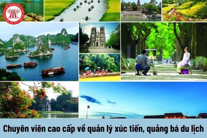 Hotspot Matrix và Các nhà khoa học phân tích 'tiếng nói' của loài tinh tinh lùn và phát
