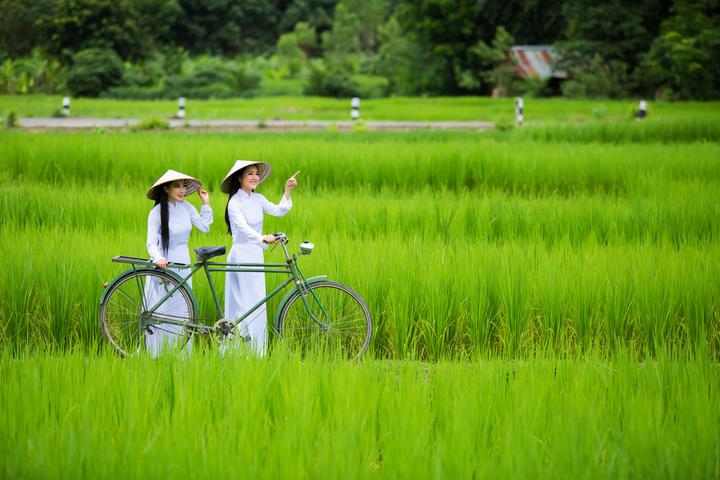 Hotspot Matrix: Biến Check-in Vlasta Summer Fest - thành cơ hội marketing đột phá