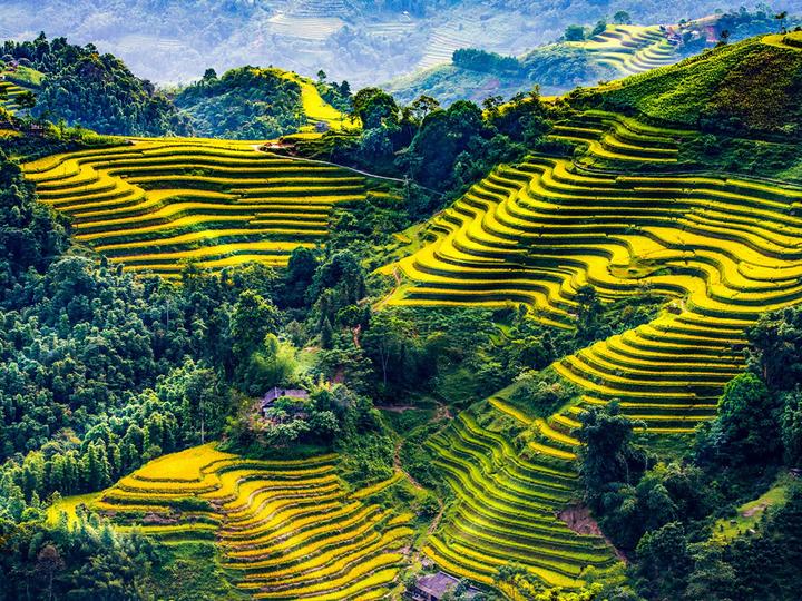 Từ Hết Hà Tăng, tới dàn dâu hào đến chiến lược content: Hotspot Matrix chia sẻ