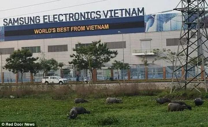 Video ngắn – Giải pháp truyền thông thông minh cho doanh nghiệp nhỏ