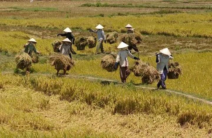 Video ngắn – Giải pháp truyền thông thông minh cho doanh nghiệp nhỏ